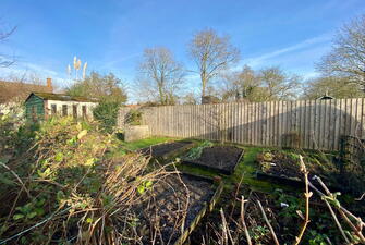 IMG 0386 1737990828702