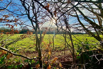 IMG 0389 1737990807662