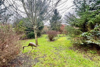 IMG 6054 1737464498322