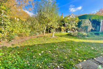 IMG 6037 1732121656577